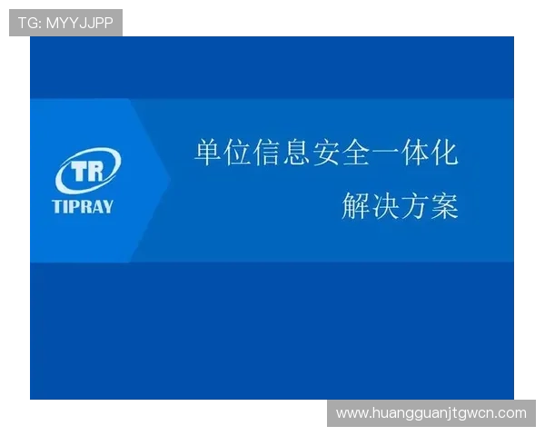 皇冠官方最新域名的安全保障措施，确保用户信息安全无忧